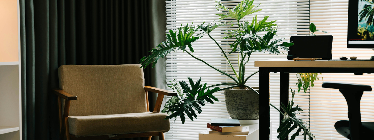 Trasloco Ufficio Milano Img Traslochi